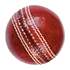 cricketmatch
